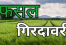 मध्यप्रदेश: गिरदावरी काम में लापरवाही पर दतिया के 3 पटवारियों को जारी किया नोटिस मध्यप्रदेश: गिरदावरी काम में लापरवाही पर दतिया के 3 पटवारियों को जारी किया नोटिस