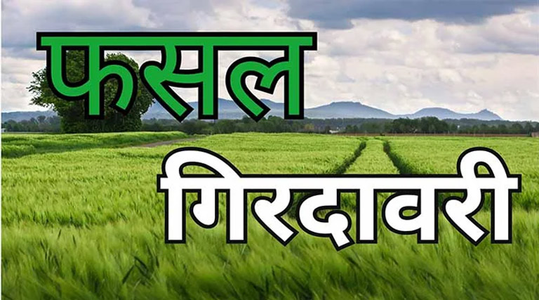 मध्यप्रदेश: गिरदावरी काम में लापरवाही पर दतिया के 3 पटवारियों को जारी किया नोटिस