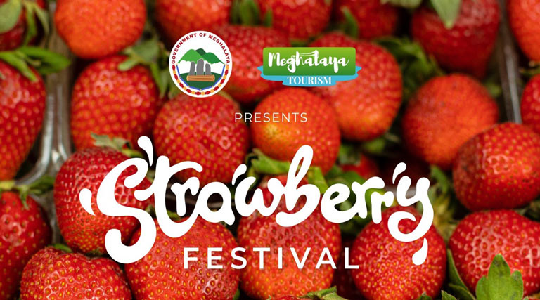 मेघालय स्ट्रॉबेरी फेस्टिवल 2026: स्मिट, सोहलीया और तुरा क्लस्टर में 1,200 मीट्रिक टन उत्पादन को मिलेगा बाजार मंच