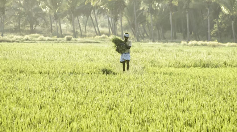 यूपी के किसानों को फिर एक सौगात, पशु औषधि केंद्र होंगे स्थापित