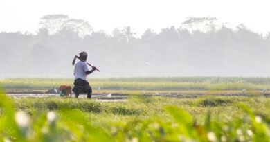 झाबुआ जिले के 6 विकासखण्ड में किसानों को फसलों में नवीन तकनीकों की दी जानकारी