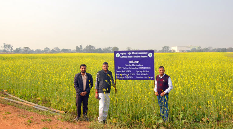 धान-परती भूमि से समृद्धि की ओर: छत्तीसगढ़ में राई-सरसों खेती का उभरता अवसर