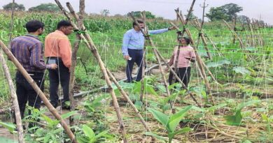 छिंदवाड़ा जिले के किसान धारे ने प्राकृतिक खेती से बढ़ाई आय