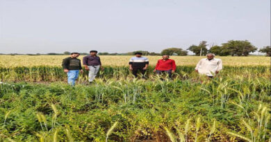 रतलाम जिले में बे-मौसम बारिश होने से फसलों का किया सर्वे  