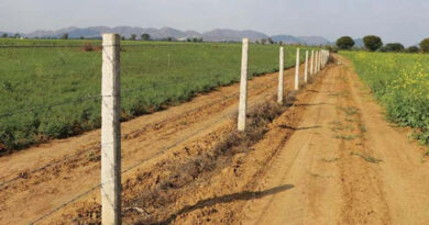 तारबंदी योजना में किसानों को राहत, नियमों में शिथिलता से घटेगी लागत: कृषि मंत्री किरोड़ी लाल मीणा  