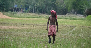 धार कृषि विज्ञान मेले में मिलेट ब्रांडिंग पर फोकस: 1500 से अधिक किसान हुए शामिल, 40 लाख के यंत्र खरीदे