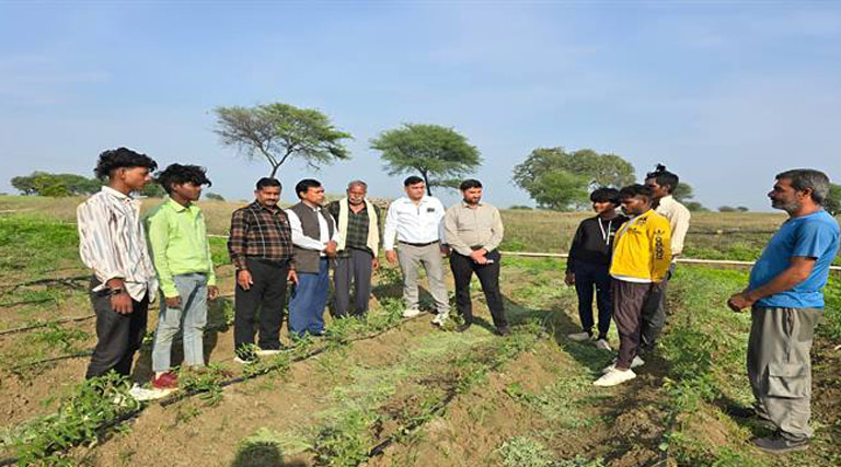 शिवपुरी जिले में मूंग की जगह उड़द फसल को बढ़ावा देने के प्रयास