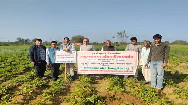 शिवपुरी: आलू फसल का निरीक्षण एवं कृषक संगोष्ठी