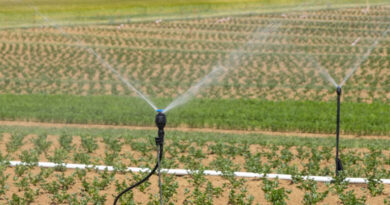 सूक्ष्म सिंचाई के साथ सेंसर आधारित ऑटोमेशन फर्टिगेशन प्रणाली किसानों के लिए हो रही है लाभकारी सिद्ध : उद्यानिकी मंत्री  