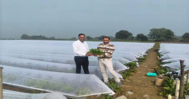 बुंदेलखंड में आधुनिक खेती की मिसाल बने अमित जैन, एक्वेटिक सब्जियों से बदली किस्मत