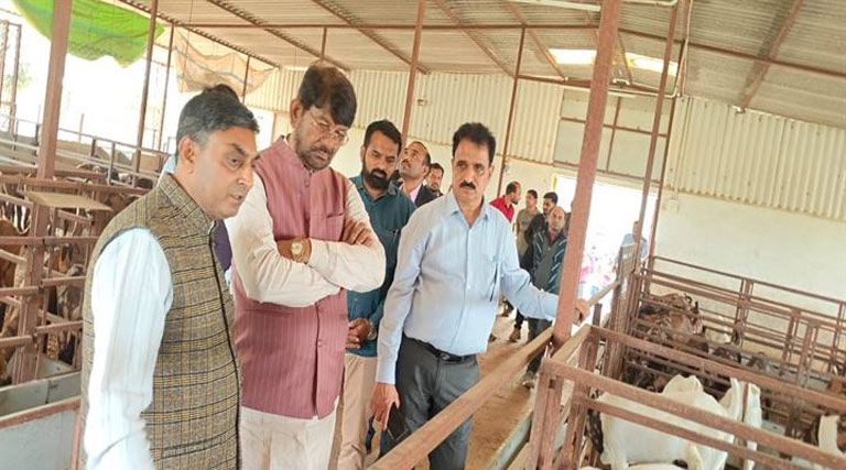 राज्यमंत्री लखन पटेल ने गोटवाला फार्म का किया भ्रमण, बकरी पालन और जीरो वेस्टेज मॉडल पर जोर