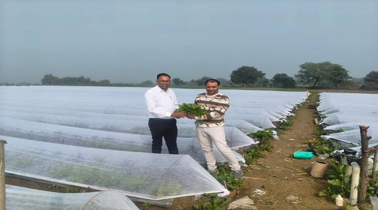 बुंदेलखंड में आधुनिक खेती की मिसाल बने अमित जैन, एक्वेटिक सब्जियों से बदली किस्मत