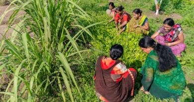 निवाड़ी: प्रभा देवी ने 'नैनो बगीचा' तैयार कर अपनी आजीविका को एक नई दिशा दी