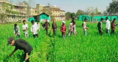 टीकमगढ़: बीज उत्पादन कार्यक्रम में रॉगिंग की महत्त्वपूर्ण भूमिका