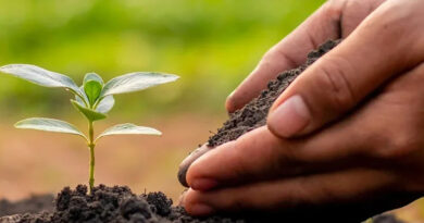 प्राकृतिक खेती समय की आवश्यकता- कलेक्टर आगर मालवा