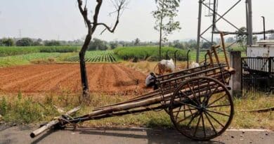 कृषि रथ के माध्यम से किसानों को दी जा रही ई-विकास प्रणाली की जानकारी