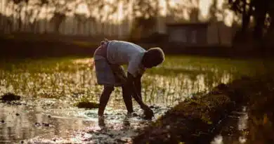 देवास: कृषि रथ के माध्यम से कृषकों से संवाद जारी      