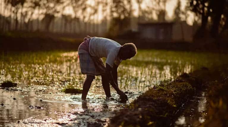 देवास: कृषि रथ के माध्यम से कृषकों से संवाद जारी      