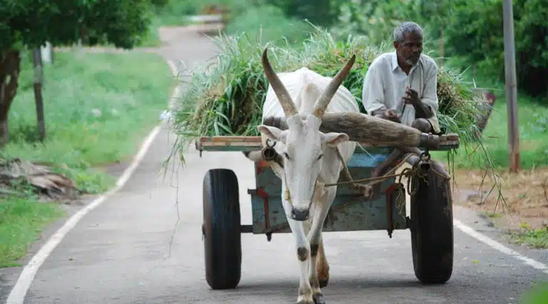 कृषक कल्याण वर्ष 2026: ट्रांसफॉर्मिंग एग्रीकल्चर मिशन के तहत 10 मॉडल पर काम शुरू