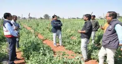 सिंगरौली कलेक्टर ने किसानों को व्यावसायिक खेती के लिए किया प्रेरित