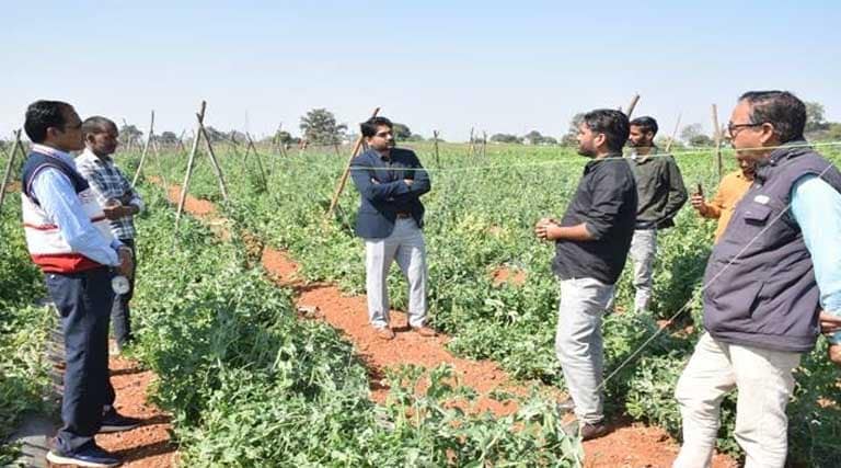 सिंगरौली कलेक्टर ने किसानों को व्यावसायिक खेती के लिए किया प्रेरित