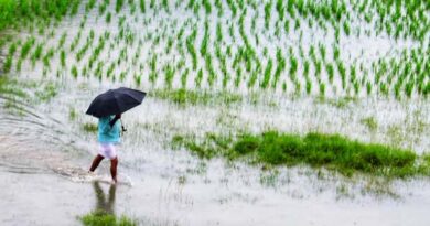 Rajasthan Budget 2026: किसानों की आय, युवाओं के रोजगार और सिंचाई को मिली सर्वोच्च प्राथमिकता    