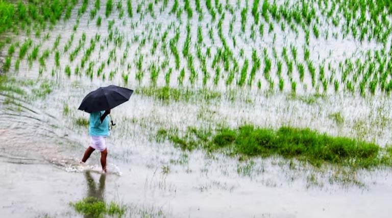 Rajasthan Budget 2026: किसानों की आय, युवाओं के रोजगार और सिंचाई को मिली सर्वोच्च प्राथमिकता