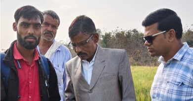 विदिशा: नायब तहसीलदार ने खेत पहुंचकर परखी गिरदावरी, गेहूं फसल का मौके पर किया गया सत्यापन  