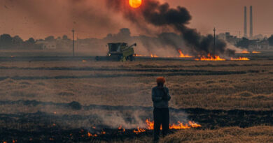 छिंदवाड़ा जिले में रबी सीजन में पराली जलाने पर प्रतिबंध