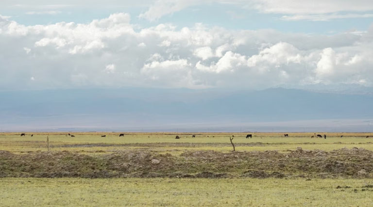 विक्रेताओं को बेचने से पहले कृषि आदान को आजमाना चाहिए
