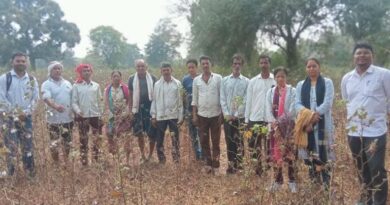 पांढुर्ना में पाला प्रभावित कपास फसल का किया मौका निरीक्षण