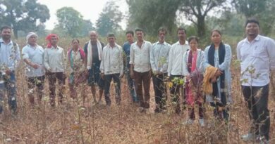 पांढुर्ना में पाला प्रभावित कपास फसल का किया मौका निरीक्षण