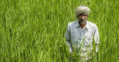 PM-KISAN: 30 लाख से अधिक किसानों का लंबित आधार–बैंक लिंकिंग मामला
