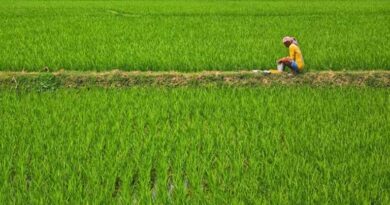 तमिलनाडु: अंडमान-निकोबार के किसानों को केला प्रसंस्करण और वैल्यू एडिशन की दी गई विशेष ट्रेनिंग