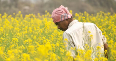 हिसार में सजेगा देश का सबसे बड़ा कृषि मंच, 14 फरवरी से शुरू होगा कृषि दर्शन एक्सपो 2026