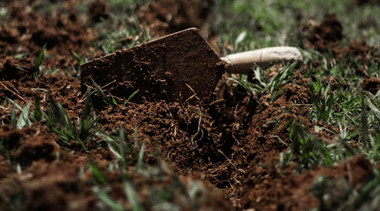 बिना मिट्टी की खेती पद्धति पर विशेष कार्यशाला का आयोजन