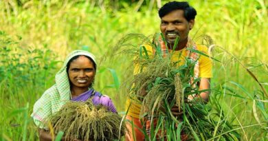कृषि रथ बना किसानों के सशक्तिकरण का माध्यम, 9 हजार से अधिक कृषकों ने लिया नरवाई प्रबंधन का संकल्प  