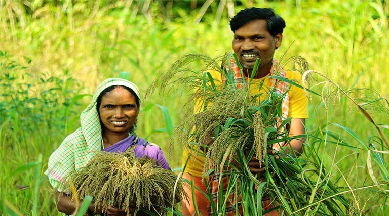 कृषि रथ बना किसानों के सशक्तिकरण का माध्यम, 9 हजार से अधिक कृषकों ने लिया नरवाई प्रबंधन का संकल्प  