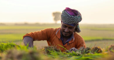 विदिशा: कृषि रथ बना किसानों के सशक्तिकरण का माध्यम  