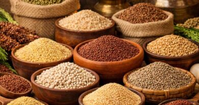 ‘श्री अन्न’ को राष्ट्रीय खाद्य टोकरी का स्थायी हिस्सा बनाएं ‘श्री अन्न’ को राष्ट्रीय खाद्य टोकरी का स्थायी हिस्सा बनाएं