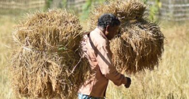 बिहार में किसानों के फार्मर आई.डी. निर्माण का कार्य तीव्र गति से जारी