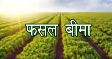 प्रधानमंत्री फसल बीमा योजना में फर्जीवाड़े की जांच एसओजी से करवाएंगे - कृषि मंत्री