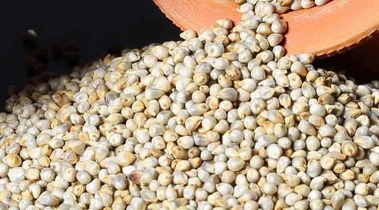 छिंदवाड़ा में मिलेट्स मेला 26 से 28 फरवरी तक, तैयारियों को लेकर बैठक आयोजित