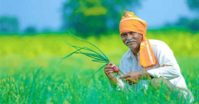 मध्यप्रदेश: कटनी जिले में कृषकों की फार्मर आईडी में लापरवाही पर पटवारी सस्पेंड मध्यप्रदेश: कटनी जिले में कृषकों की फार्मर आईडी में लापरवाही पर पटवारी सस्पेंड