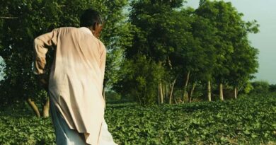 नर्मदापुरम में 24-25 फरवरी को आयोजित होगा जिला स्तरीय सेमीनार व फ्लावर शो, किसानों को मिलेगा हाईटेक हॉर्टिकल्चर का प्रशिक्षण  