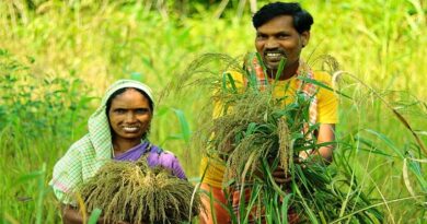 मेडिसिटी परियोजना अंतर्गत मेडिकल कॉलेज और हॉस्टल का 27 प्रतिशत से ज्यादा काम पूरा