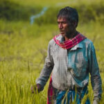 कटनी: कृषि विज्ञान केन्द्र पिपरौंध में कृषि विज्ञान मेला एवं प्रदर्शनी का आयोजन