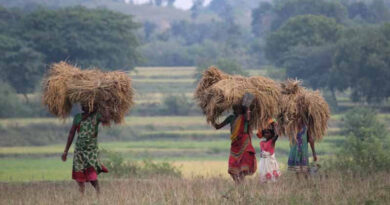 ऑयल पाम से बदलेगी किसानों की तस्वीर, 40 कृषक उन्नत प्रशिक्षण के लिए आंध्र प्रदेश रवाना