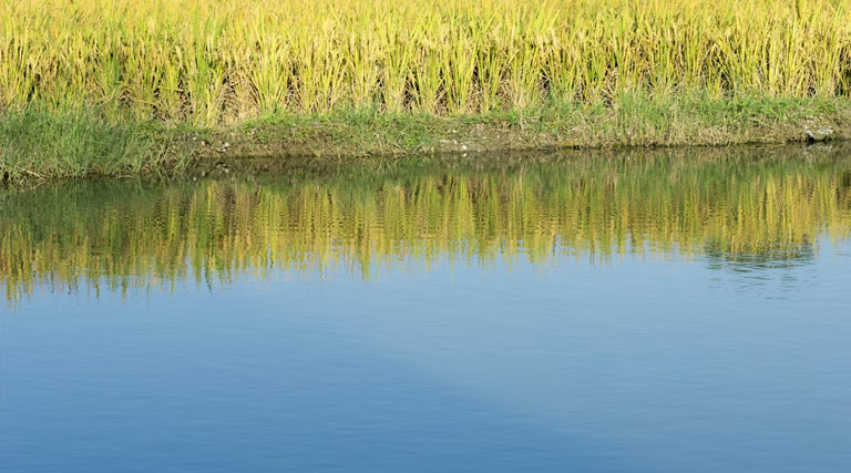 “हर खेत को पानी” और “प्रति बूंद अधिक फसल” की दिशा में मजबूत कदम