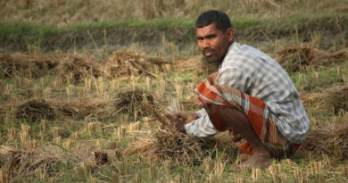 मध्यप्रदेश ने कृषि उत्पादन के क्षेत्र में उल्लेखनीय उपलब्धि हासिल की